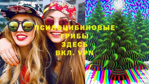 МДПВ Абинск